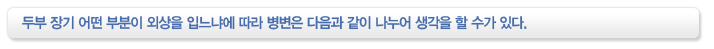 두부 장기 어떤 부분이 외상을 입느냐에 따라 병변은 다음과 같이 나누어 생각을 할 수가 있다.