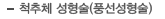 척추체 성형술(풍선성형술)