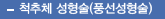 척추체 성형술(풍선성형술)