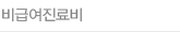 비급여진료비